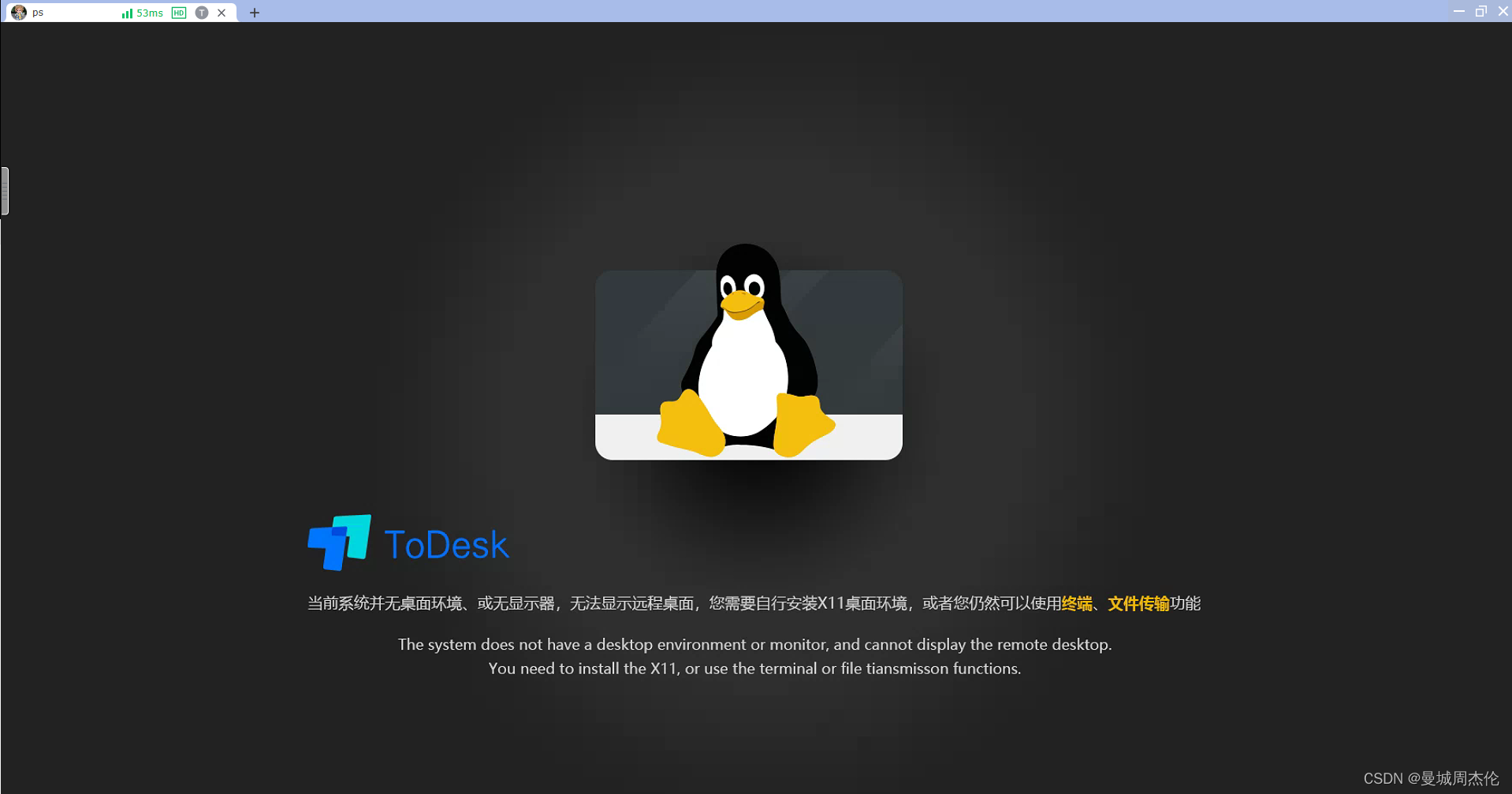 当前系统并无桌面环境、或无显示器，无法显示远程桌面，您需要自行安装X11桌面环境，或者您仍然可以使用终端、文件传输功能