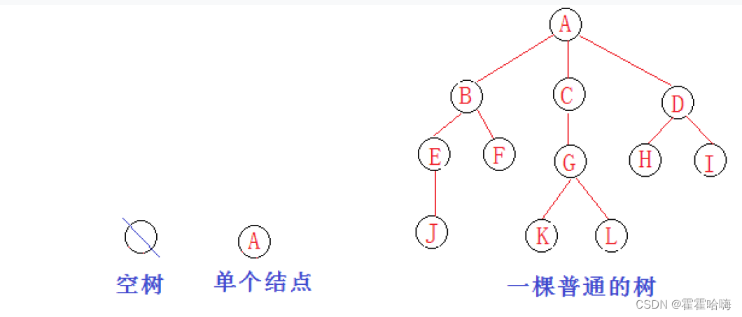 数据结构：详解【树和二叉树】