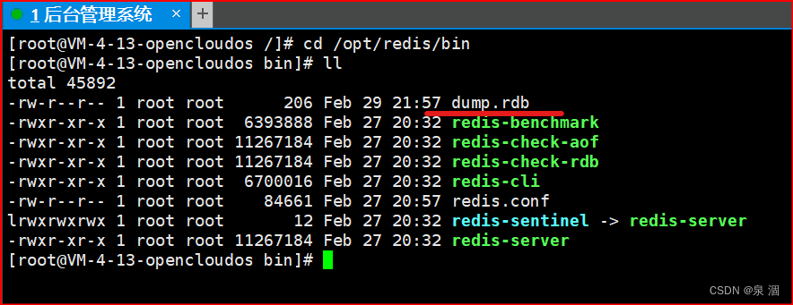 Redis<span style='color:red;'>进</span>阶--一篇文章<span style='color:red;'>带</span><span style='color:red;'>你</span><span style='color:red;'>走</span>出Redis