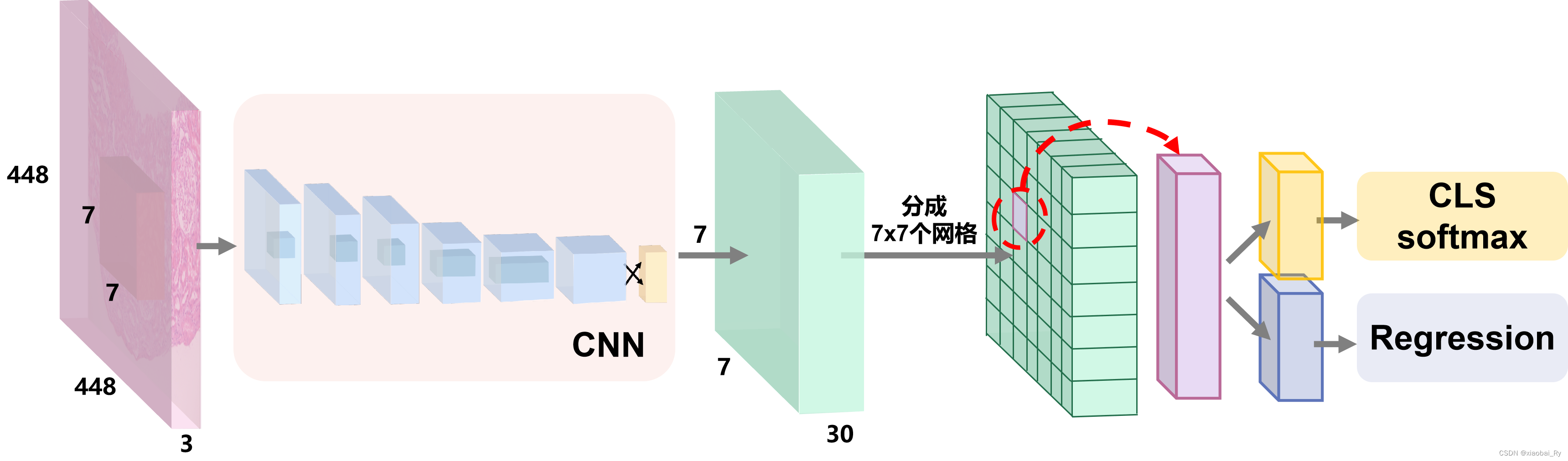 目标检测的相关模型图：YOLO系列和RCNN系列