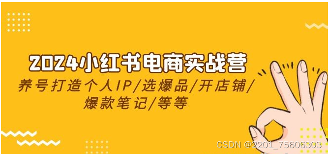 2024小红书电商实战营，养号打造IP/选爆品/开店铺/爆款笔记/等等（24节）