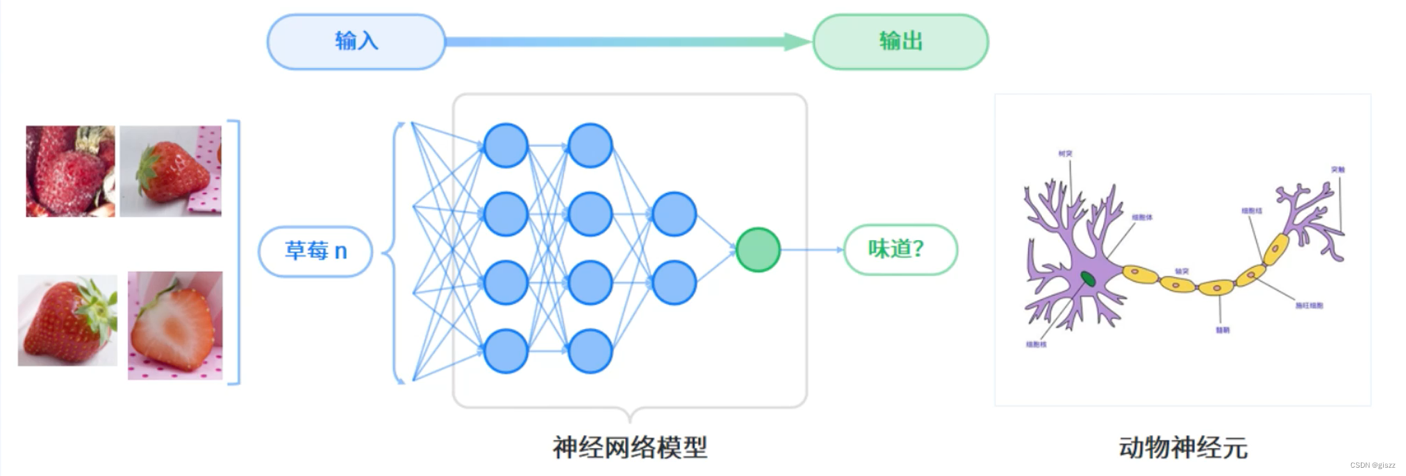 【大厂AI课学习笔记】【1.6 人工智能基础知识】（3）神经网络