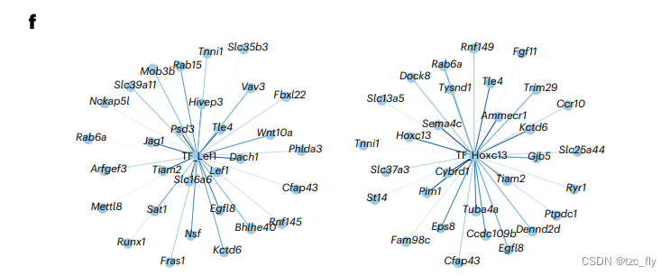 fig4f