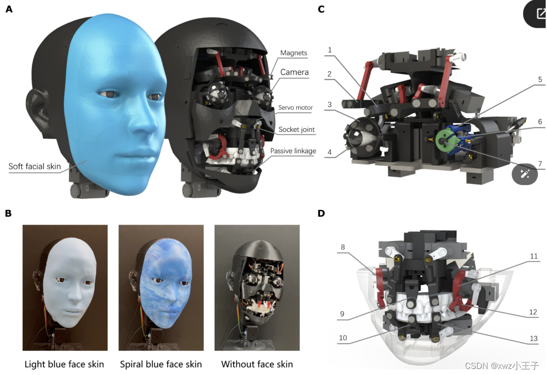 Science Robotics 逼真面部表情的机器人