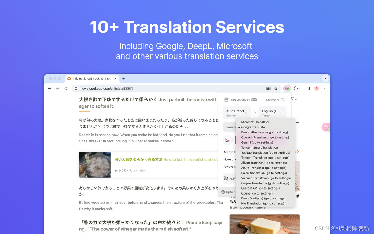 沉浸式翻译 chrome 插件 Immersive Translate - Translate Website  PDF