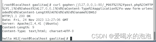 ssrf之gopher协议的使用和配置，以及需要注意的细节