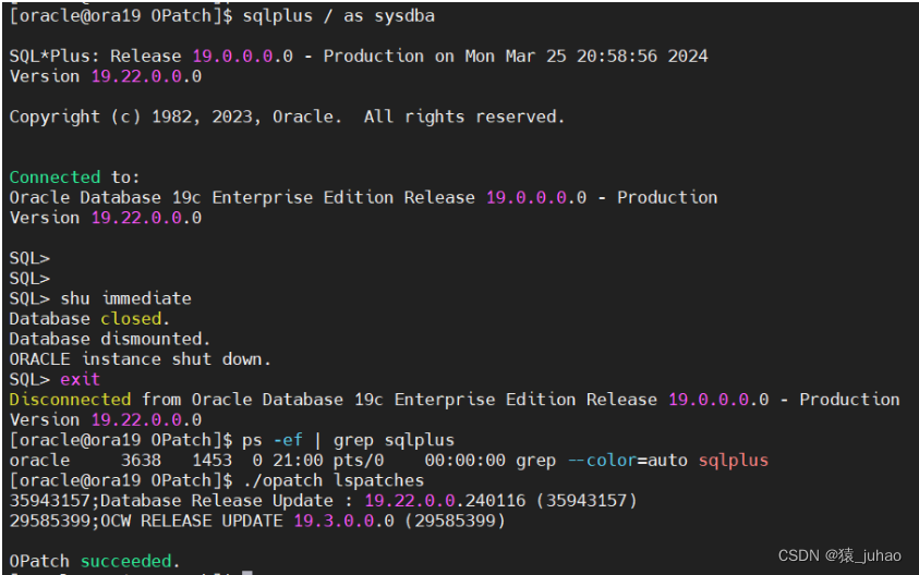 oracle19c单实例补丁升级和回退