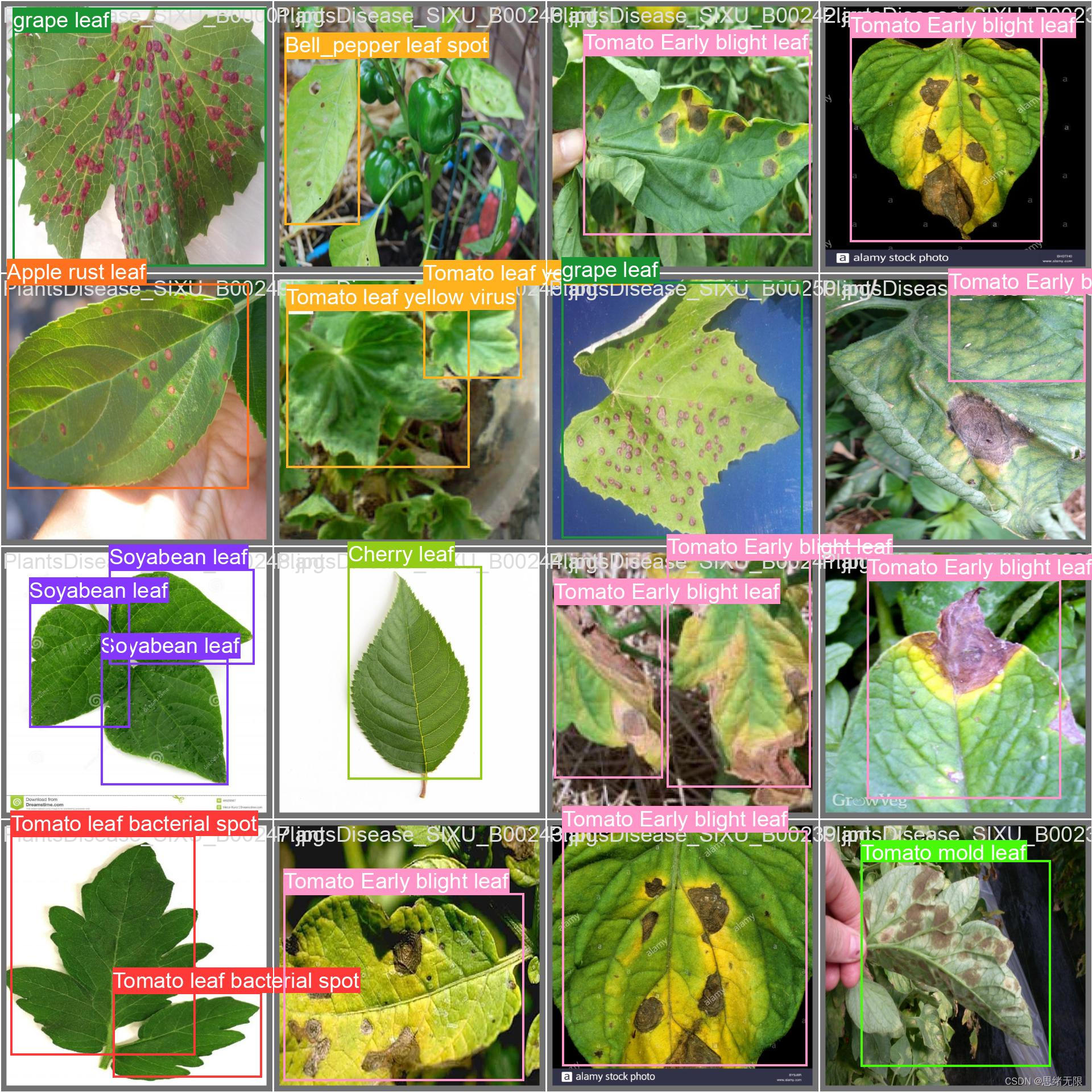 基于YOLOv8/YOLOv7/YOLOv6/YOLOv5的植物病害检测系统（Python+PySide6界面+训练代码）
