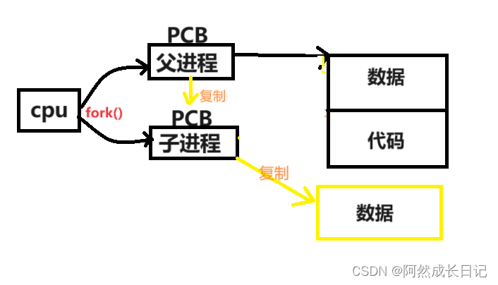 【Linux】fork函数详解and写时拷贝再理解