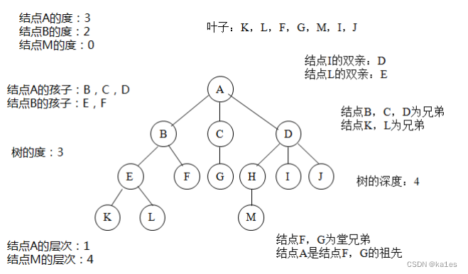 数据结构——树
