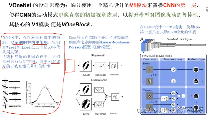 【BIAI】Lecture2-Visual system