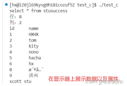 【MySQL】20. 使用C语言链接