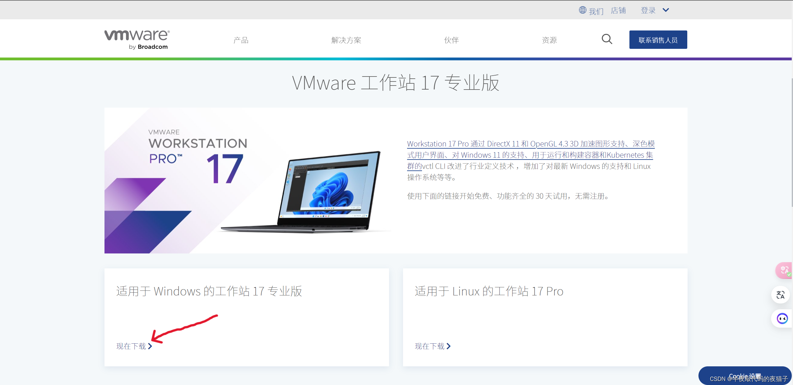 vmware-17虚拟机安装教程及版本密钥（保姆级，包含图文讲解，不需注册账户）