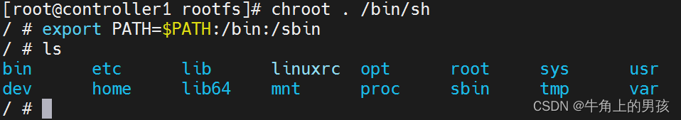 chroot: failed to run command ‘/bin/bash’: No such file or directory