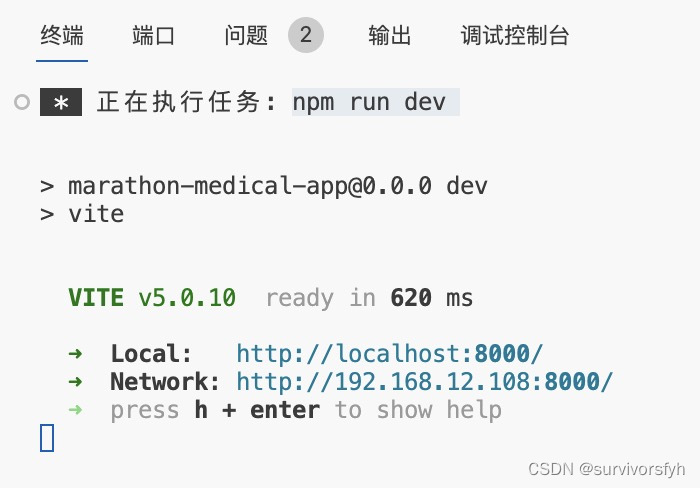 npm run dev,vite 配置 ip 访问