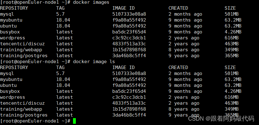 Docker学习——Dock镜像