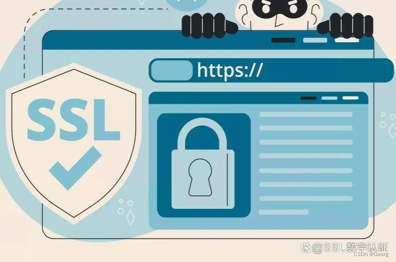 企业型多域名SSL证书