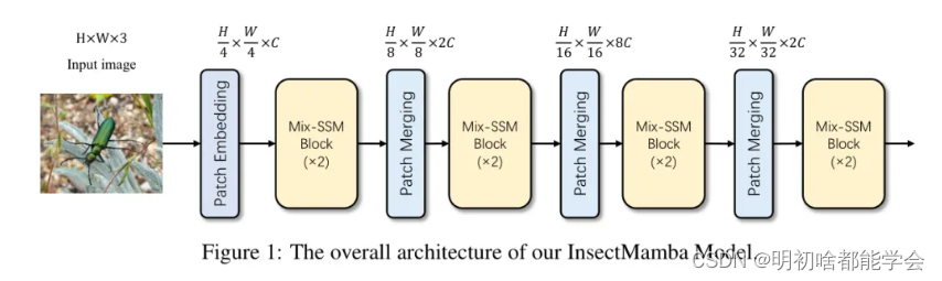 InsectMamba：基于状态空间模型的害虫分类