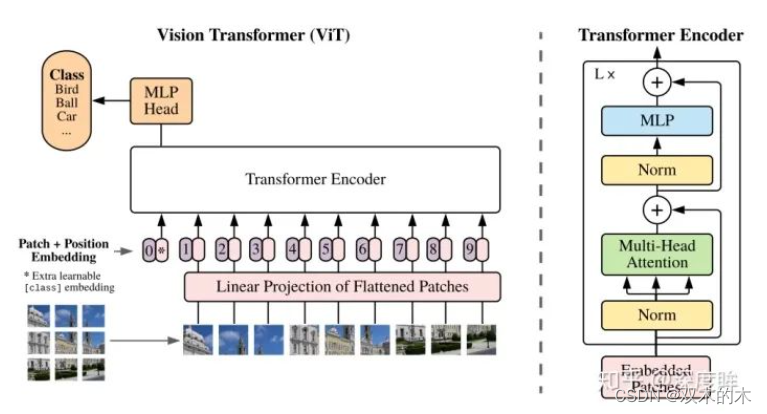 江大白 | 3W字长文，带你深入浅出视觉Transformer-下篇(建议收藏!)