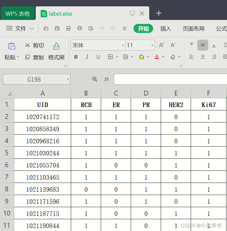 深度学习理论基础（三）封装数据集及手写数字识别