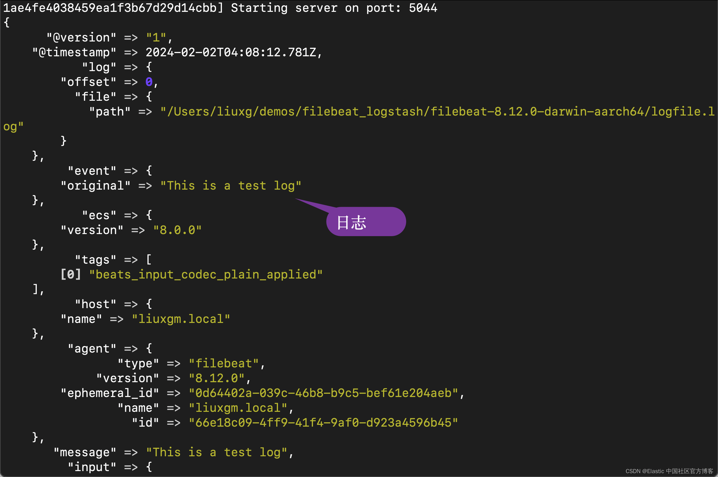 安全通信设置：使用 OpenSSL 为 Logstash 和 Filebeat 提供 SSL 证书