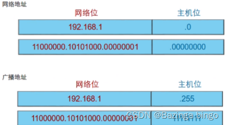 【网络层】IP地址基础 与 子网掩码