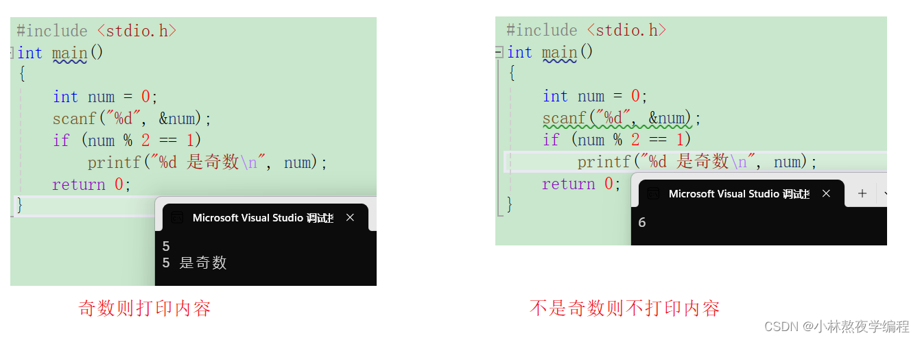 C语言第五弹---分支语句(上)