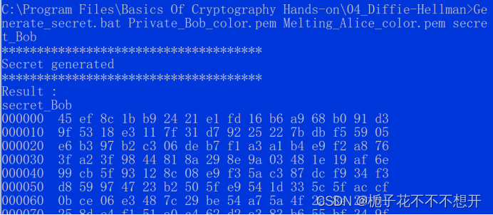 网络安全-Diffie Hellman密钥协商