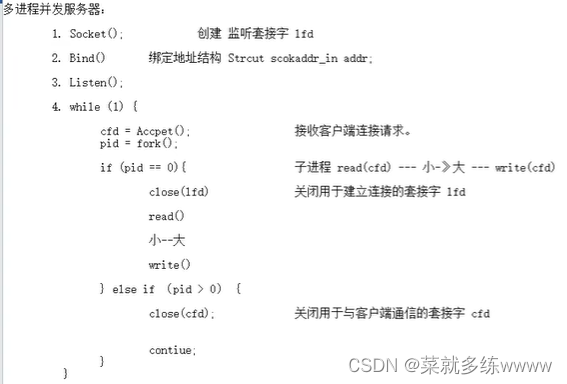 Linux网络编程---多进/线程并发服务器