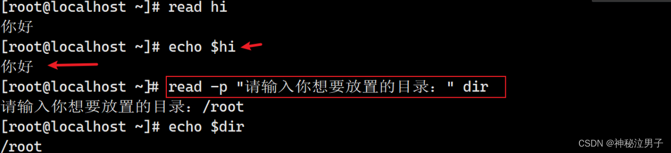 [Shell编程学习路线]——深入理解Shell编程中的变量(理论与实例)