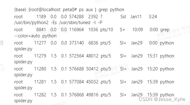 linux批量查询python进程，批量关闭