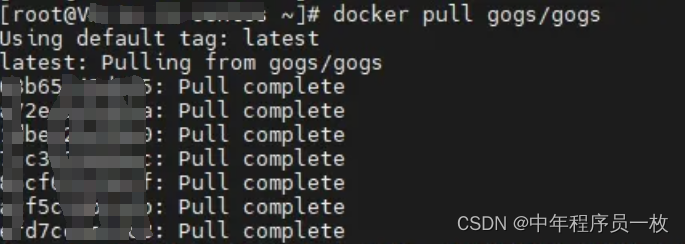 docker部署Gogs安装