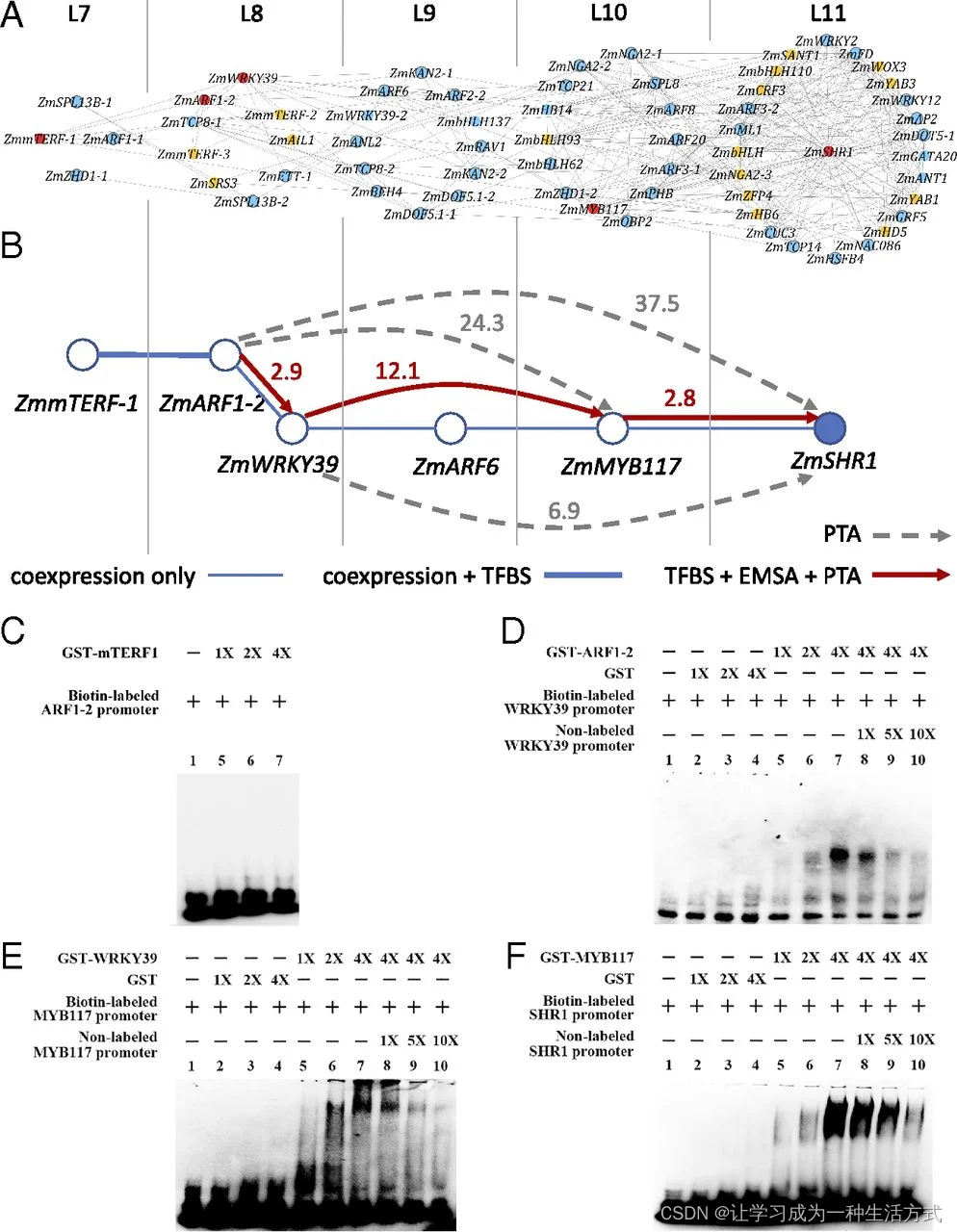 比较转录组学方法推断基因共表达网络及其在玉米和水稻叶片转录组中的应用 TO-GCN时序分析-文献精读-8