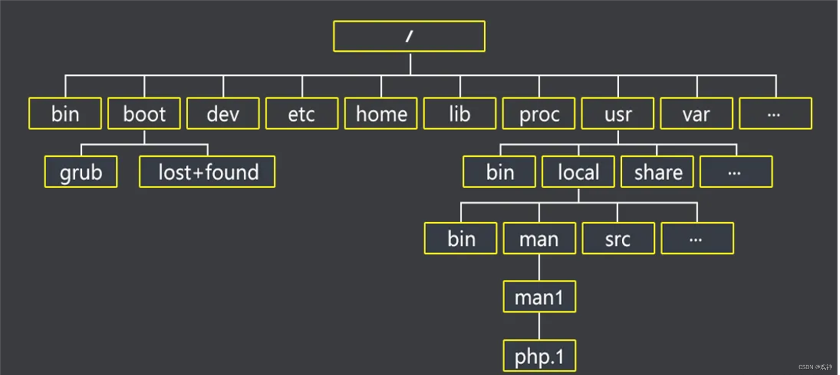 Linux文件和目录管理