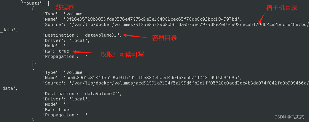 DockerFile的应用