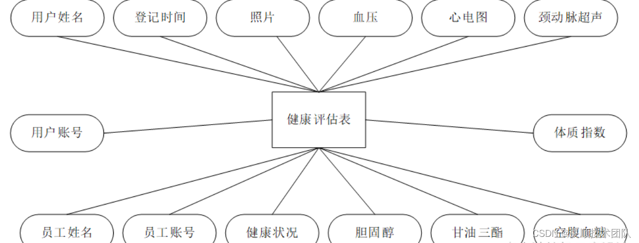 图4-5健康评估表实体图