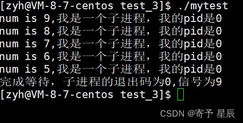 Linux基础之进程等待