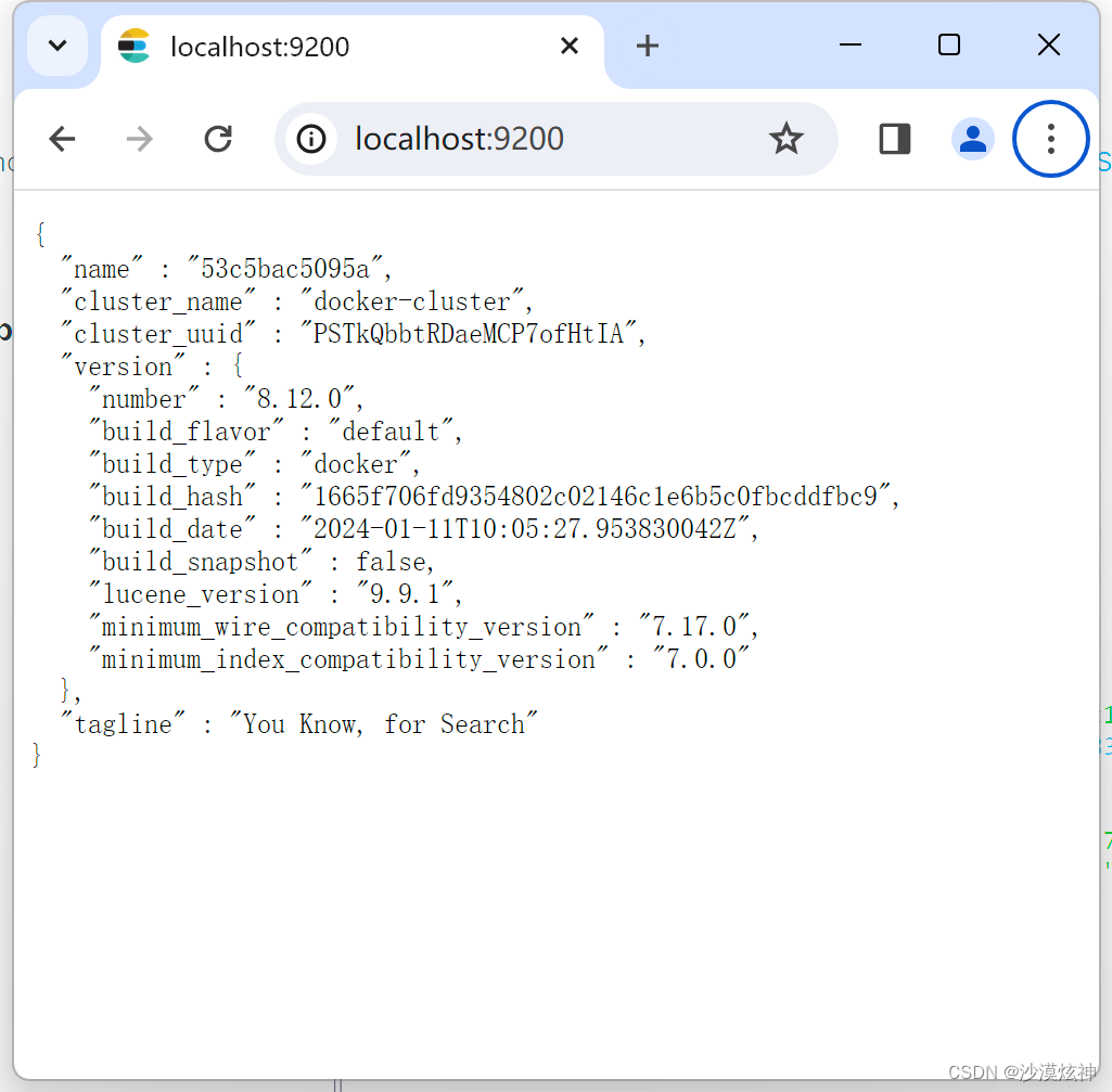 docker elasticsearch<span style='color:red;'>8</span>启动<span style='color:red;'>失败</span>