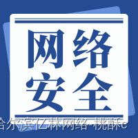 “网络战时代的国家安全：策略、技术和国际合作“