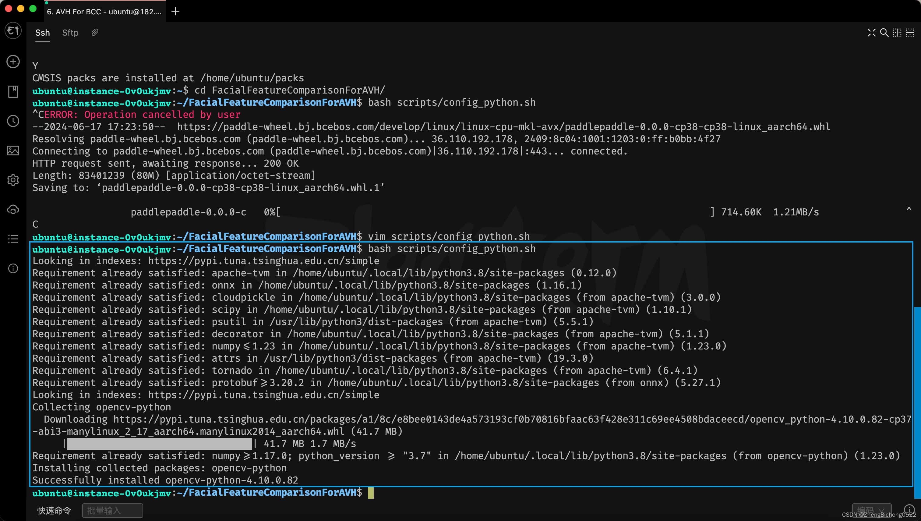 配置 Python 开发环境结果演示