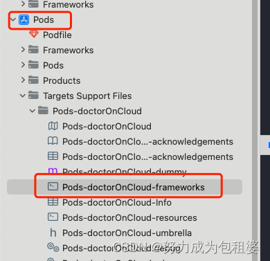 iOS报错-Command PhaseScriptExecution failed with a nonzero exit 