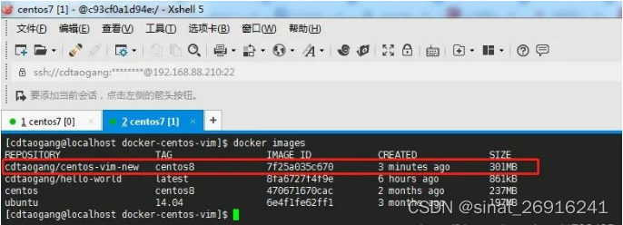 Docker镜像和容器