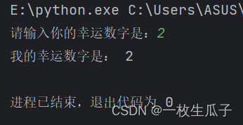 Python初步使用教程