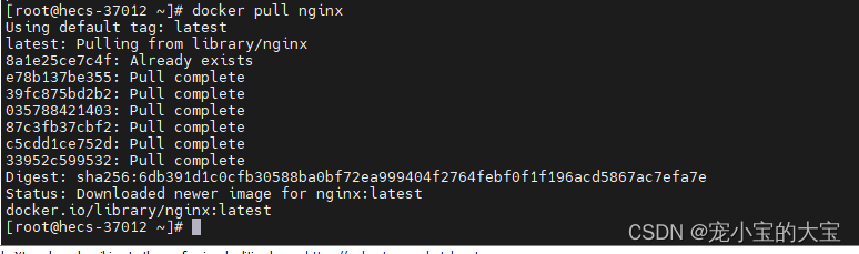 linux-docker安装nginx