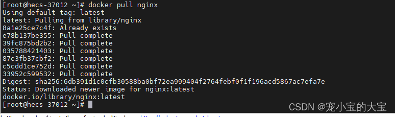 linux-<span style='color:red;'>docker</span><span style='color:red;'>安装</span><span style='color:red;'>nginx</span>