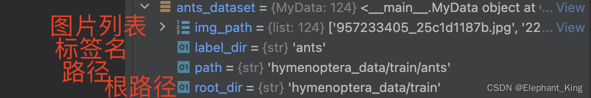 【Pytorch】1.读取训练数据集