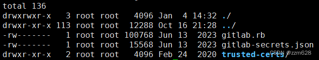 基于gitlab 12.8.0版本的完整镜像过程