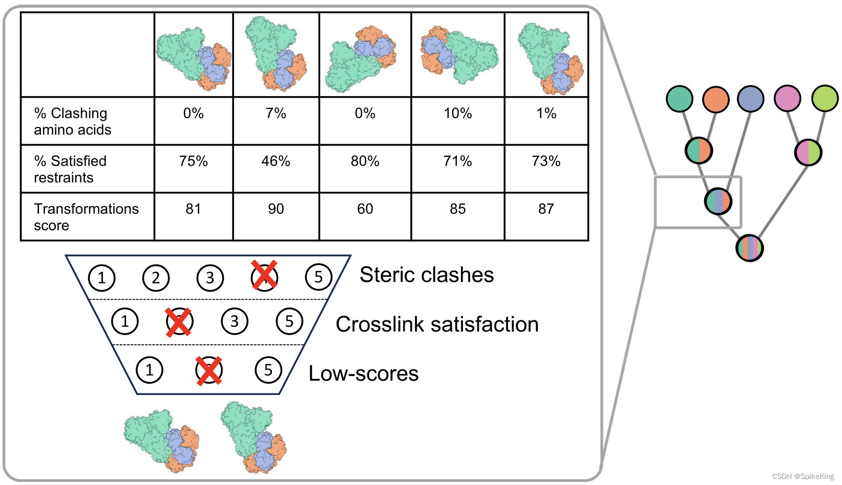 CombFold filtering visualization