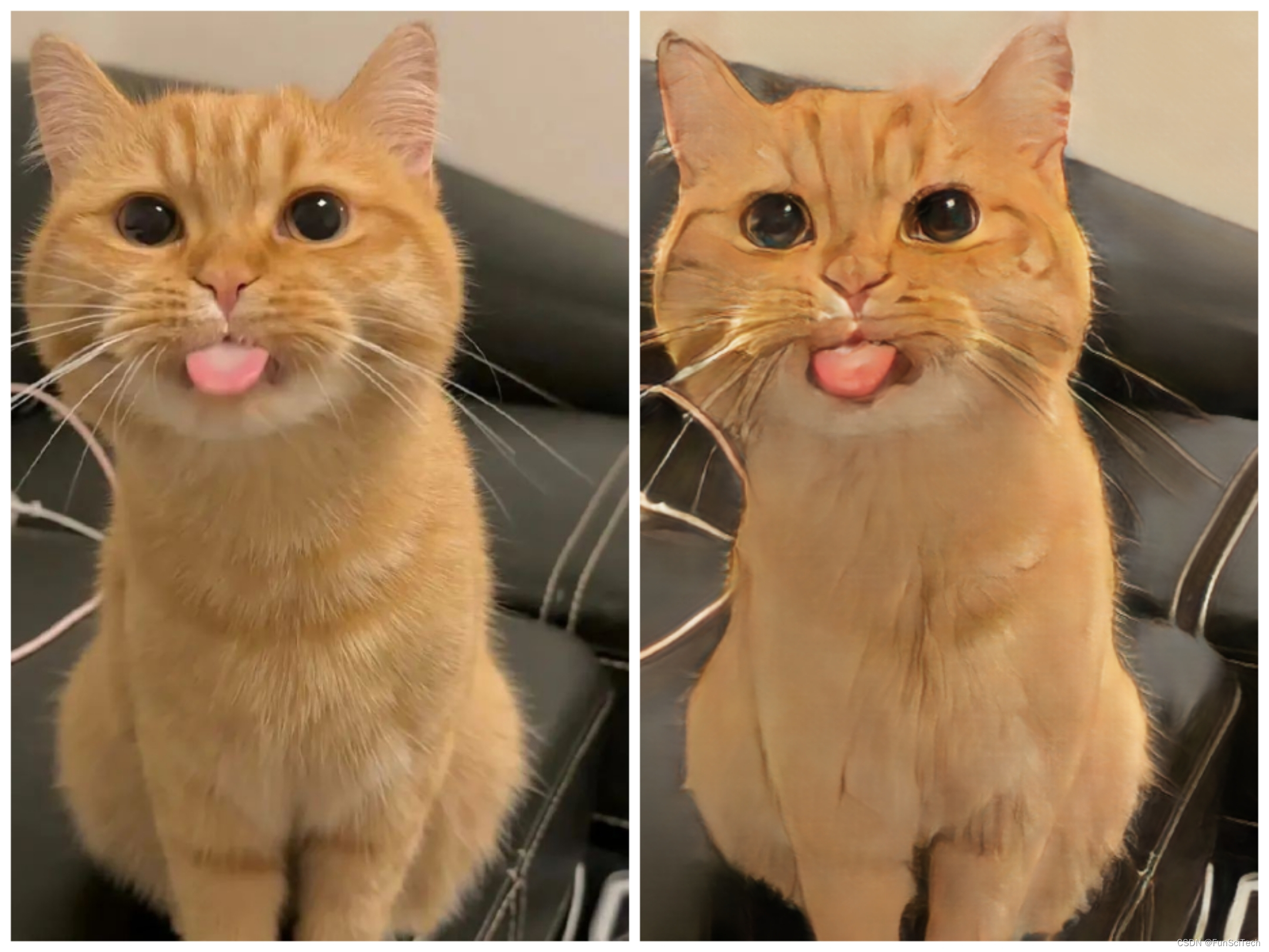 宠物