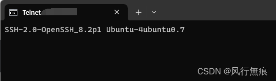 Ubuntu 隐藏Telnet<span style='color:red;'>主机</span><span style='color:red;'>SSH</span>服务<span style='color:red;'>时</span>显示版本信息问题